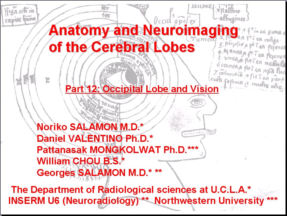 Salamons Neuroanatomy And Neurovasculature Web Atlas Resource